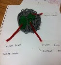 Yarn Brain for Blind Students