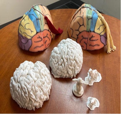 Brain Hats Clagary